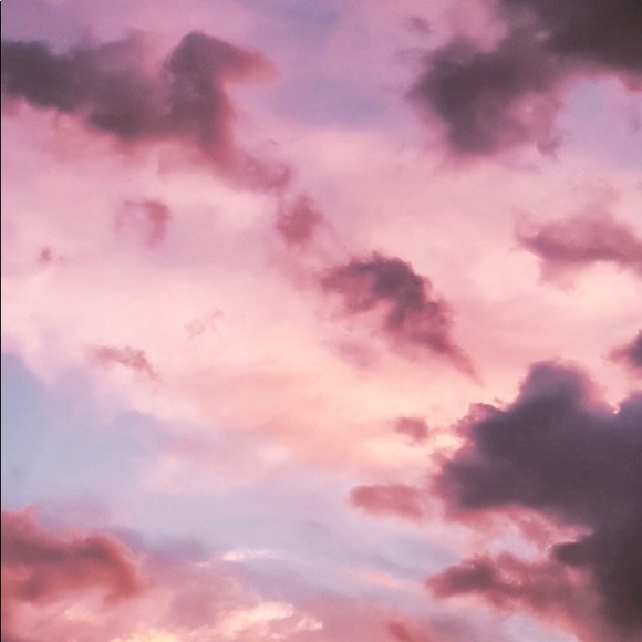 abby_fienberg